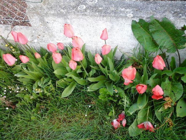 La Crielloise Villa Exteriör bild